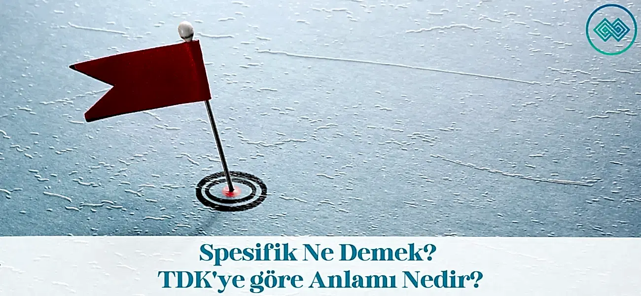 Spesifik Ne Demek? TDK'ye göre Anlamı Nedir? Spesifik Ne Demek? TDK'ye göre Anlamı Nedir?