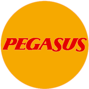 https://tataslooo.info/view/images/uploads/2025-05/kurum-logolar/pegasus20.png
