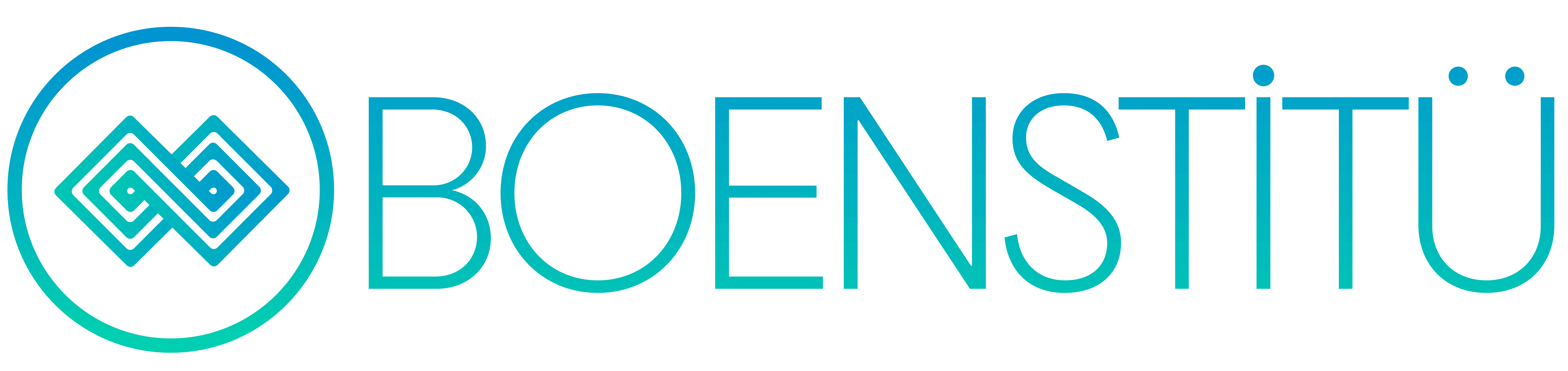 Boenstitü Logo